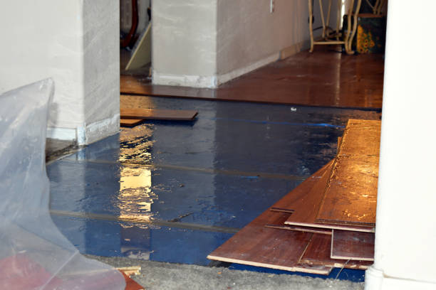 Professional Basement Flood Cleanup technician working in Greendale, WI